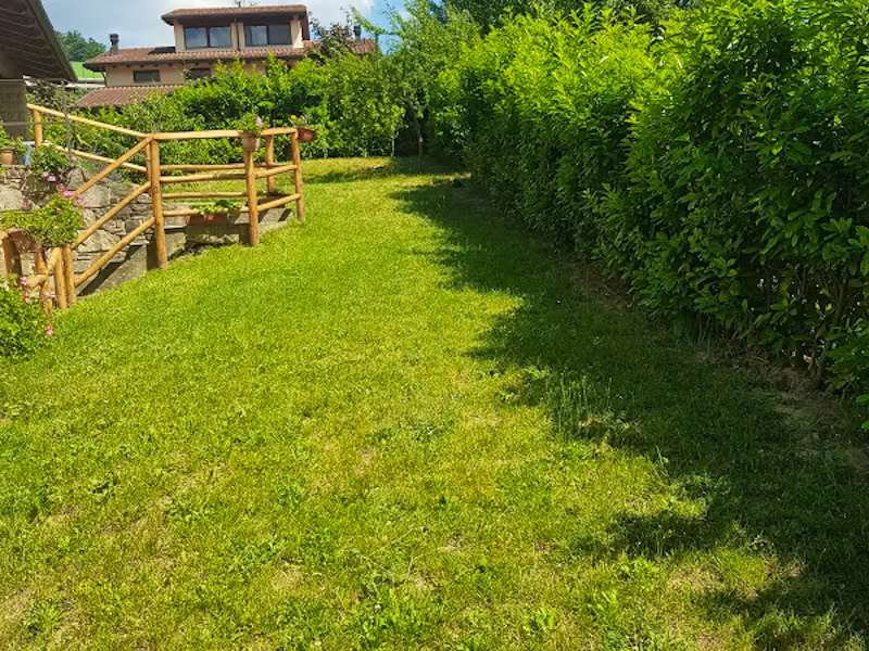 Natura e verde